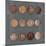 Roman Coins I-The Vintage Collection-Mounted Giclee Print