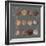 Roman Coins I-The Vintage Collection-Framed Giclee Print