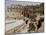 Roman Colosseum, El Jem, Unesco World Heritage Site, Tunisia, North Africa, Africa-Ethel Davies-Mounted Photographic Print