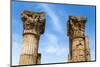 Roman Corinthian Capital, Utica Punic and Roman Archaeological Site, Tunisia, North Africa-Nico Tondini-Mounted Photographic Print