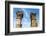 Roman Corinthian Capital, Utica Punic and Roman Archaeological Site, Tunisia, North Africa-Nico Tondini-Framed Photographic Print