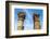 Roman Corinthian Capital, Utica Punic and Roman Archaeological Site, Tunisia, North Africa-Nico Tondini-Framed Photographic Print