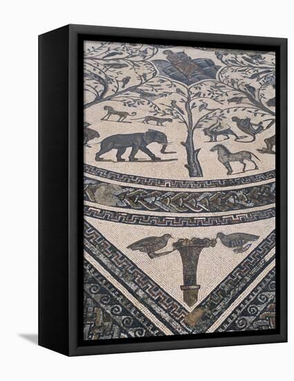 Roman Floor Mosaic, Archaeological Site of Volubilis, Unesco World Heritage Site, Morocco-R H Productions-Framed Premier Image Canvas