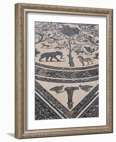 Roman Floor Mosaic, Archaeological Site of Volubilis, Unesco World Heritage Site, Morocco-R H Productions-Framed Photographic Print