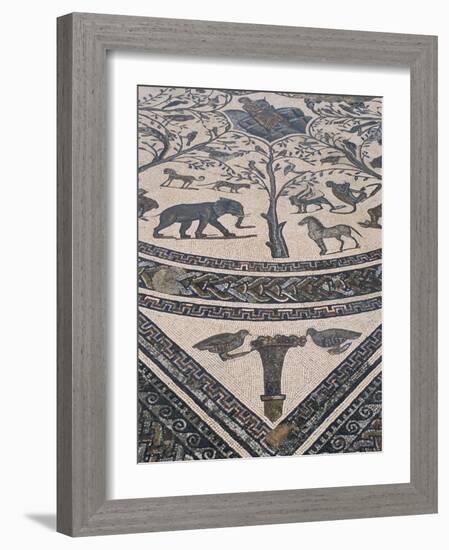 Roman Floor Mosaic, Archaeological Site of Volubilis, Unesco World Heritage Site, Morocco-R H Productions-Framed Photographic Print