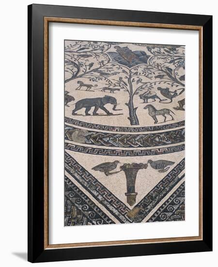 Roman Floor Mosaic, Archaeological Site of Volubilis, Unesco World Heritage Site, Morocco-R H Productions-Framed Photographic Print