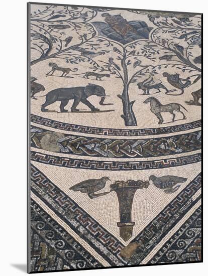 Roman Floor Mosaic, Archaeological Site of Volubilis, Unesco World Heritage Site, Morocco-R H Productions-Mounted Photographic Print