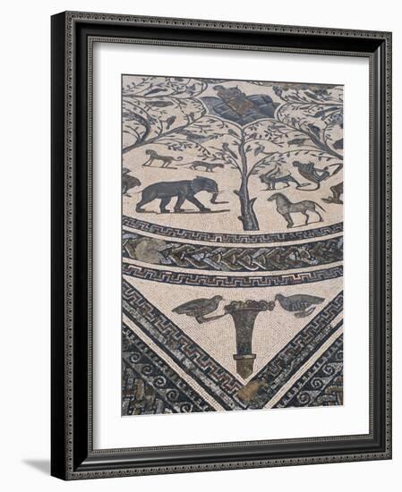 Roman Floor Mosaic, Archaeological Site of Volubilis, Unesco World Heritage Site, Morocco-R H Productions-Framed Photographic Print