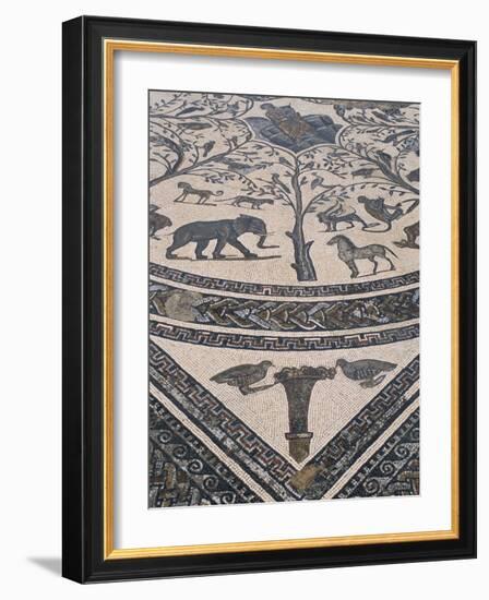 Roman Floor Mosaic, Archaeological Site of Volubilis, Unesco World Heritage Site, Morocco-R H Productions-Framed Photographic Print