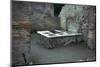 Roman food-shop in Herculaneum, 1st century. Artist: Unknown-Unknown-Mounted Photographic Print