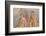 Roman Fresco, Io and Argos, from House of Meleager-Eleanor Scriven-Framed Photographic Print