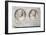 Roman funerary relief of a husband and wife-Unknown-Framed Giclee Print