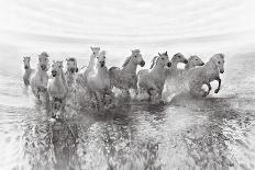 Illusion of Power (13 Horse Power Though)-Roman Golubenko-Framed Photographic Print