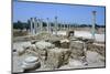 Roman Gymnasium, c.4th century BC-Unknown-Mounted Photographic Print