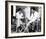 Roman Holiday (1953)-null-Framed Photo