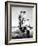 Roman Holiday, Audrey Hepburn, Gregory Peck, 1953-null-Framed Photo