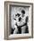 Roman Holiday, Gregory Peck, Audrey Hepburn, 1953-null-Framed Photo