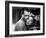 Roman Holiday, Gregory Peck, Audrey Hepburn, 1953-null-Framed Photo