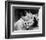 Roman Holiday-null-Framed Photo