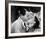 Roman Holiday-null-Framed Photo