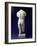 Roman Male Torso of a Youthful Figure, after a Polyclitan Bronze Original of the 5th Century BC-null-Framed Giclee Print