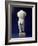 Roman Male Torso of a Youthful Figure, after a Polyclitan Bronze Original of the 5th Century BC-null-Framed Giclee Print