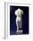 Roman Male Torso of a Youthful Figure, after a Polyclitan Bronze Original of the 5th Century BC-null-Framed Giclee Print