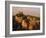 Roman-Medieval Town of Vaison-La-Romaine, Vaucluse Region, France-Duncan Maxwell-Framed Photographic Print