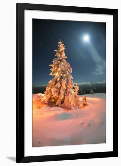 Photographic Print, , large