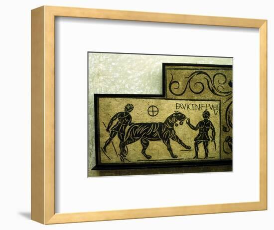 Roman mosaic deoicting a tiger and gladiators, 2nd century. Artist: Unknown-Unknown-Framed Giclee Print
