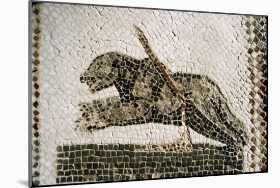 Roman Mosaic detail of Bear, from Diana the Huntress, Thuburbo Majus, Tunisia, c4th century-Unknown-Mounted Giclee Print