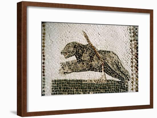 Roman Mosaic detail of Bear, from Diana the Huntress, Thuburbo Majus, Tunisia, c4th century-Unknown-Framed Giclee Print
