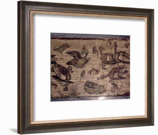 Roman Mosaic from Pompeii of ducks and frogs in a water garden, 1st century-Dioscurides of Samos-Framed Giclee Print