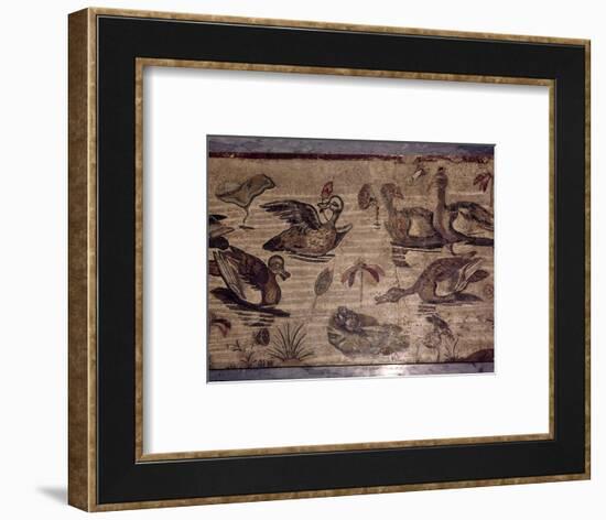 Roman Mosaic from Pompeii of ducks and frogs in a water garden, 1st century-Dioscurides of Samos-Framed Giclee Print