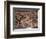 Roman Mosaic from Pompeii of ducks and frogs in a water garden, 1st century-Dioscurides of Samos-Framed Giclee Print