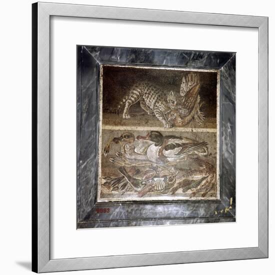 Roman mosaic of a cat with ducks, Pompeii, Italy. Artist: Unknown-Unknown-Framed Giclee Print