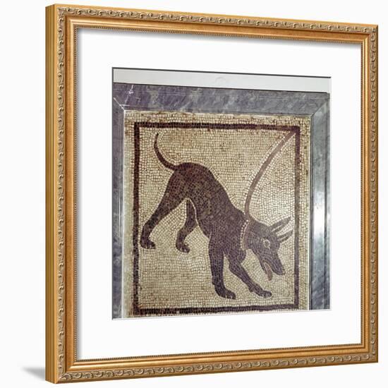 Roman mosaic of dog, Cave Canem, Pompeii, Italy. Artist: Unknown-Unknown-Framed Giclee Print