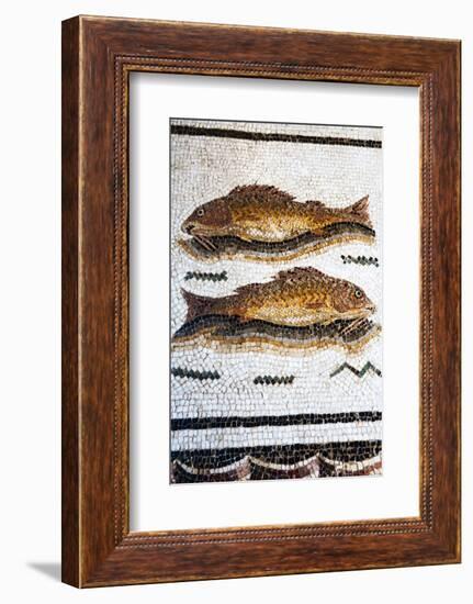 Roman Mosaic with Fish Swimming, Carthage, Tunis, Tunisia, North Africa-Nico Tondini-Framed Photographic Print