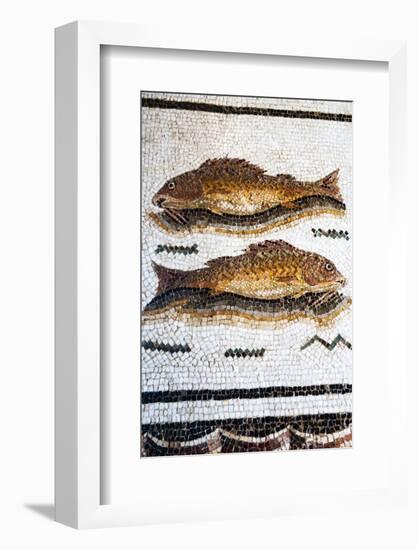 Roman Mosaic with Fish Swimming, Carthage, Tunis, Tunisia, North Africa-Nico Tondini-Framed Photographic Print