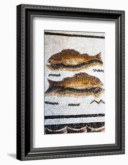 Roman Mosaic with Fish Swimming, Carthage, Tunis, Tunisia, North Africa-Nico Tondini-Framed Photographic Print