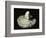 Roman Phallic Amulet-Unknown-Framed Giclee Print