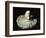 Roman Phallic Amulet-Unknown-Framed Giclee Print