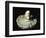 Roman Phallic Amulet-Unknown-Framed Giclee Print