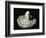 Roman Phallic Amulet-Unknown-Framed Giclee Print