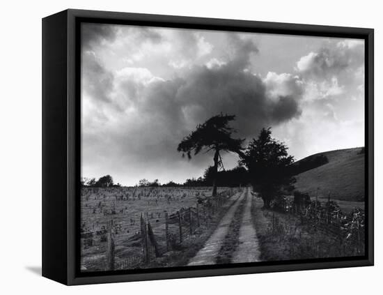 Roman Road, Ceirieg (Vintage) Drovers Roads, Wales-Fay Godwin-Framed Premier Image Canvas