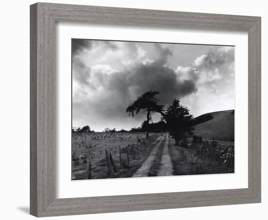 Roman Road, Ceirieg (Vintage) Drovers Roads, Wales-Fay Godwin-Framed Giclee Print