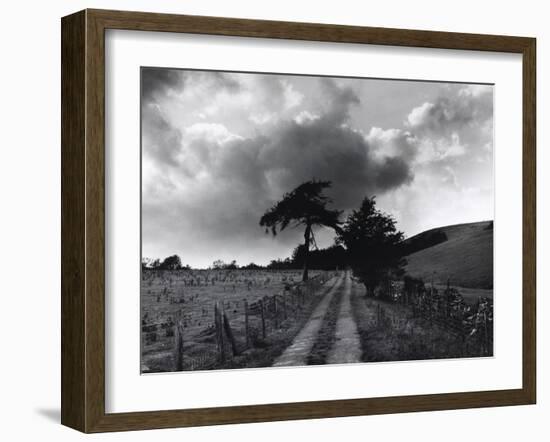 Roman Road, Ceirieg (Vintage) Drovers Roads, Wales-Fay Godwin-Framed Giclee Print