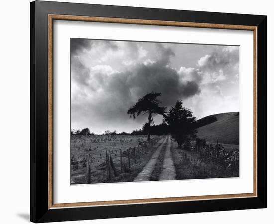 Roman Road, Ceirieg (Vintage) Drovers Roads, Wales-Fay Godwin-Framed Giclee Print