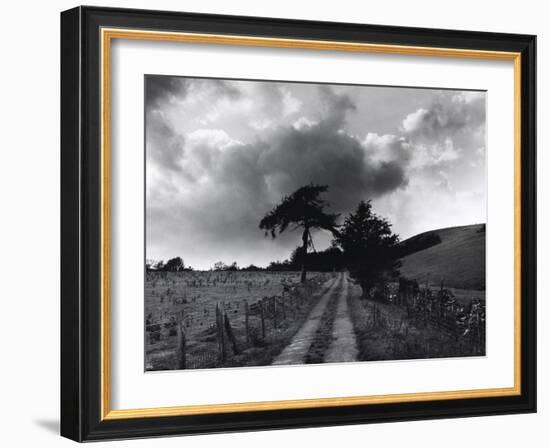 Roman Road, Ceirieg (Vintage) Drovers Roads, Wales-Fay Godwin-Framed Giclee Print