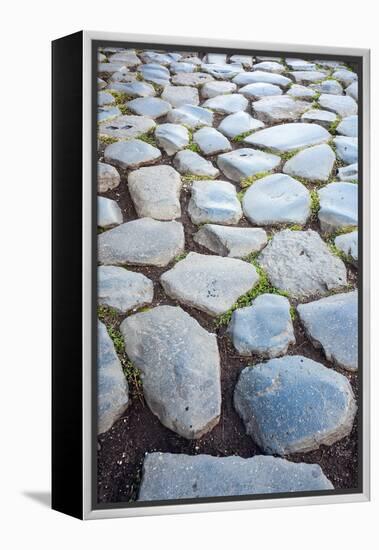 Roman Road Close to Arch of Constantine, Arco Di Costantino, Rome, Latium, Italy-Nico Tondini-Framed Premier Image Canvas